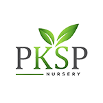 Syarikat Perusahaan Kelapa Sawit Sdn Bhd